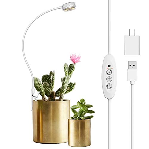 Best Grow Light for Succulents